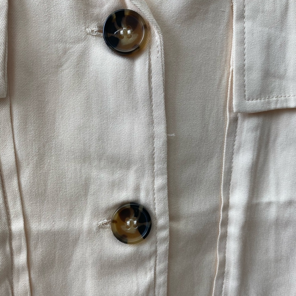 TORTOISE - Picture 4 of 5